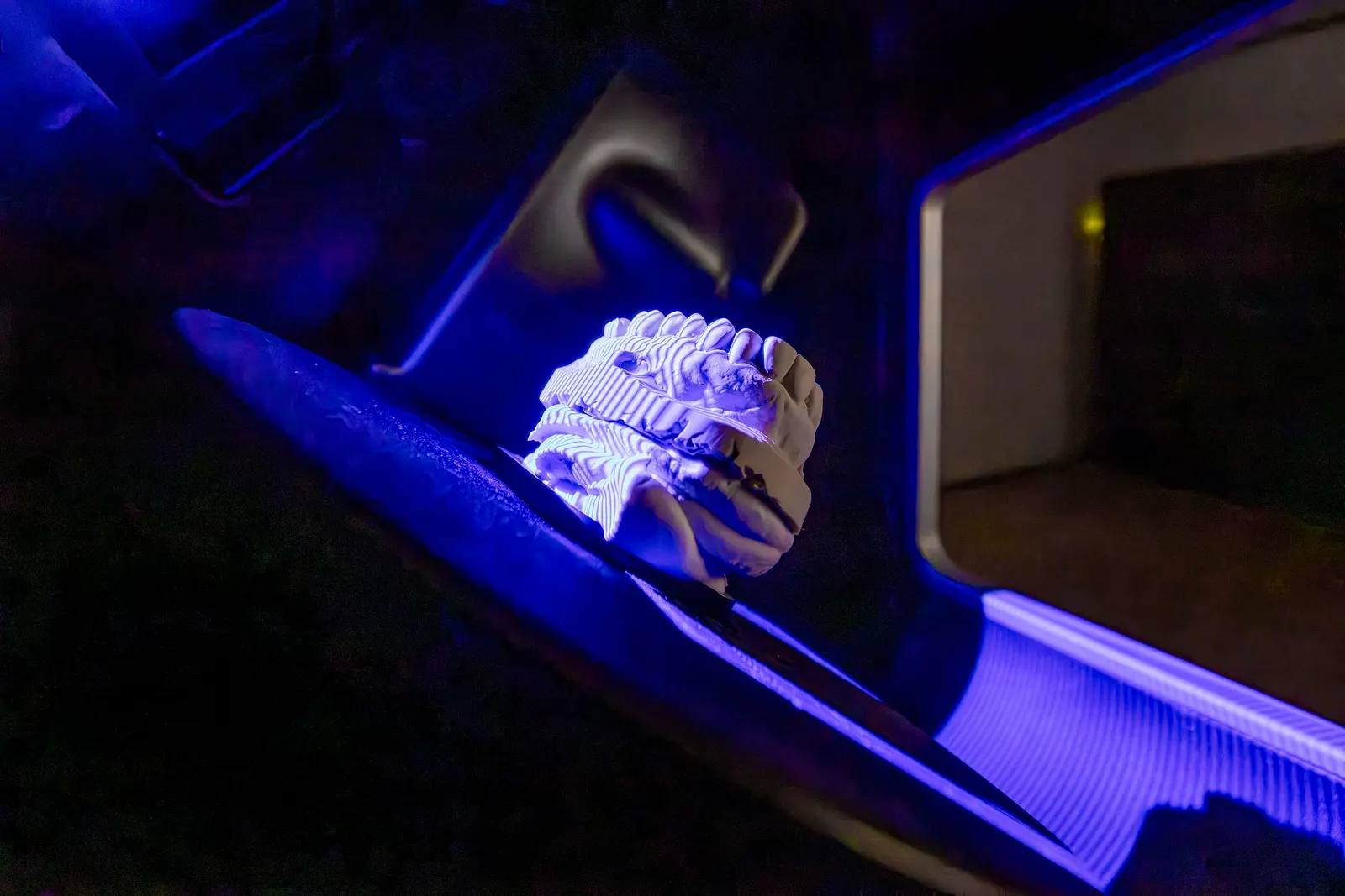Zahnmodell im Laborscanner unter blauem Licht